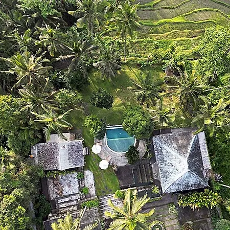 Aventus Resort Ubud
