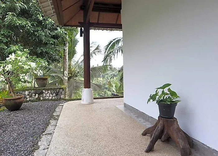 リゾート Aventus Ubud