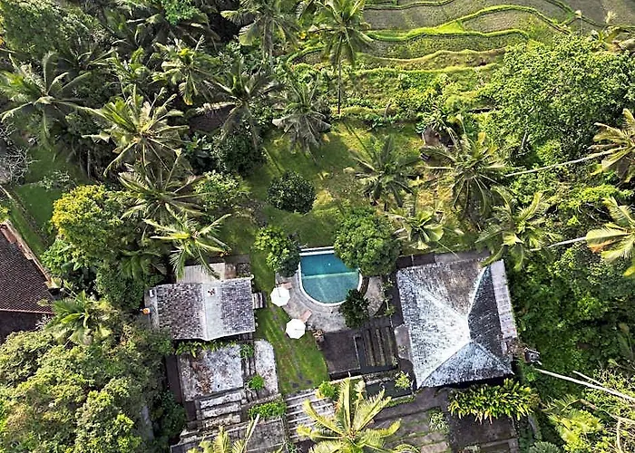 منتجع Aventus Ubud Keliki