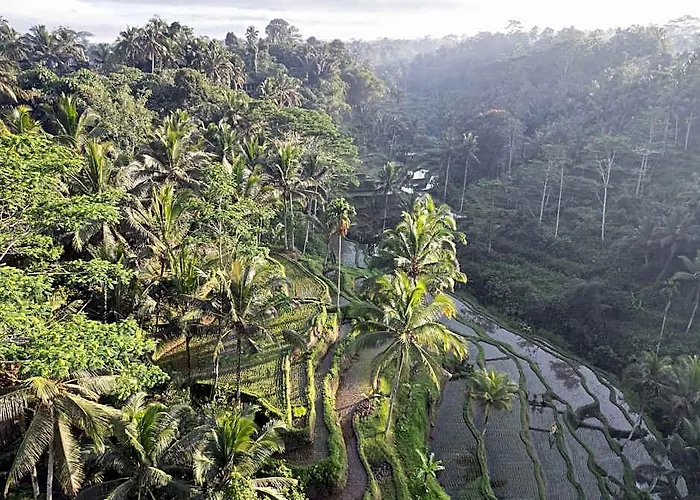 منتجع Aventus Ubud Keliki