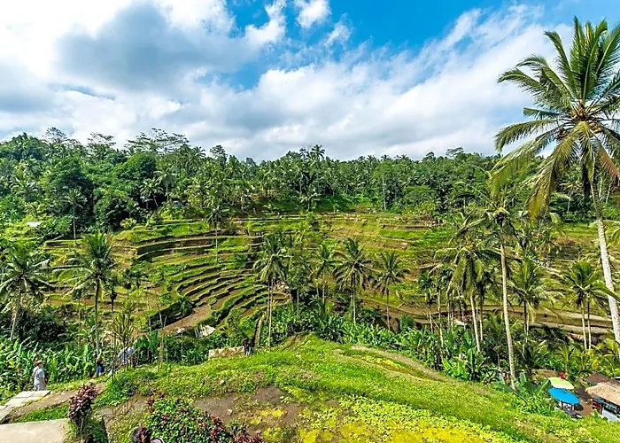 リゾート Aventus Ubud Keliki